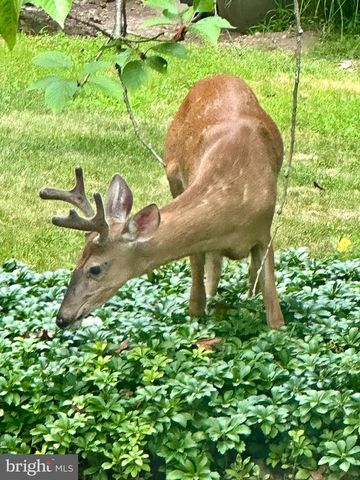 1047 IMPERIAL DR, Mohnton, PA 19540