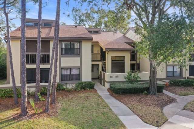 113 WOODLAKE WYNDE 19, Oldsmar, FL 34677