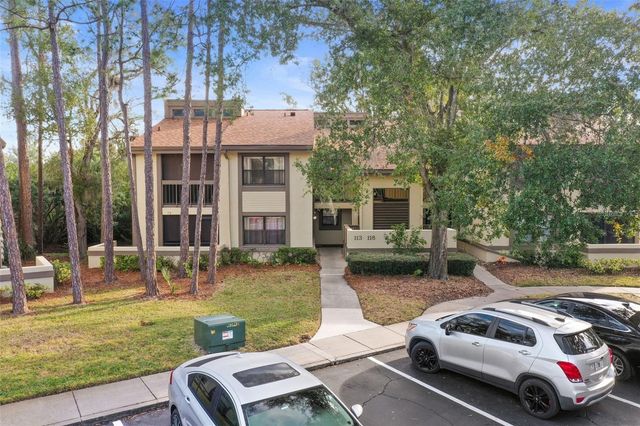 113 WOODLAKE WYNDE 19, Oldsmar, FL 34677