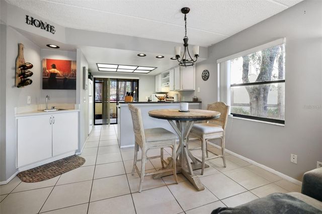 113 WOODLAKE WYNDE 19, Oldsmar, FL 34677