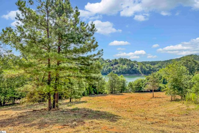 246 Long Ridge Road, Sunset, SC 29685