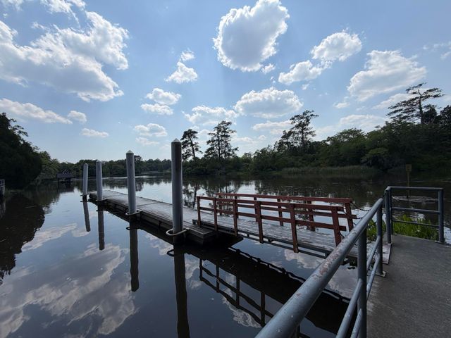 104 Seven Oaks Lane, Summerville, SC 29485