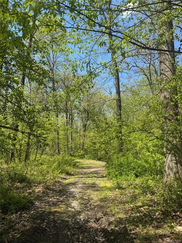 2 Brenner Hollow Road, Pleasant Valley, NY 12569