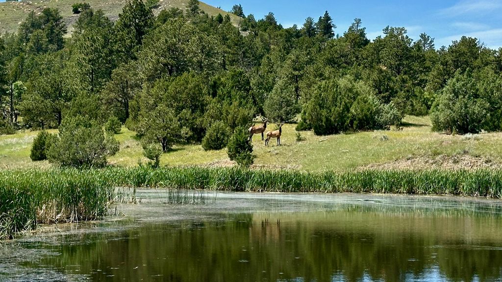 100 Mule Creek Road, Hulett, WY 82720 photo 10