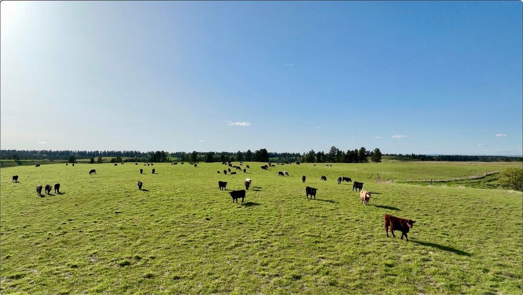 100 Mule Creek Road, Hulett, WY 82720 photo 13