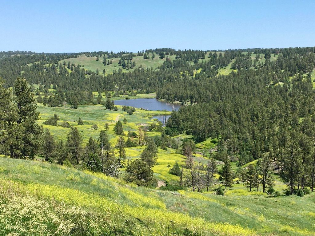 100 Mule Creek Road, Hulett, WY 82720 photo 14