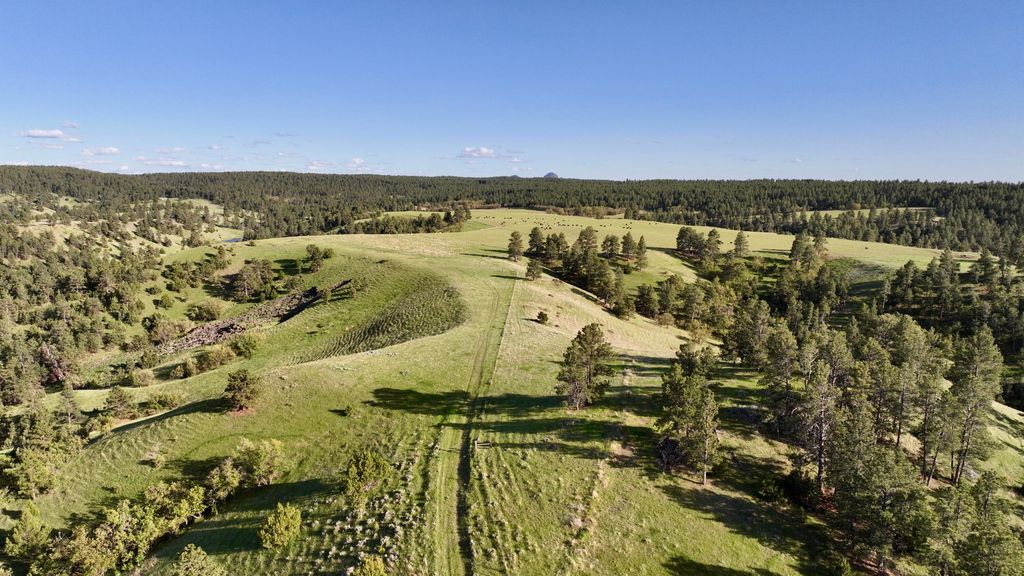 100 Mule Creek Road, Hulett, WY 82720 photo 16