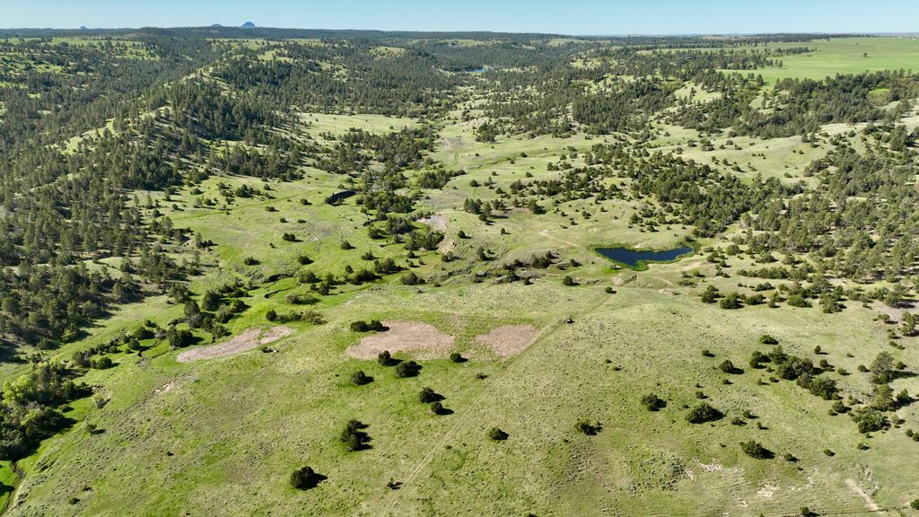 100 Mule Creek Road, Hulett, WY 82720 photo 17