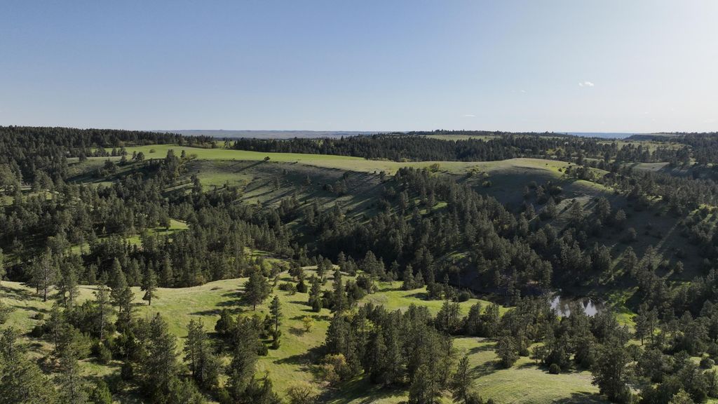 100 Mule Creek Road, Hulett, WY 82720 photo 18