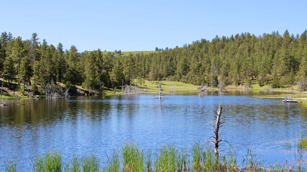 100 Mule Creek Road, Hulett, WY 82720 photo 19