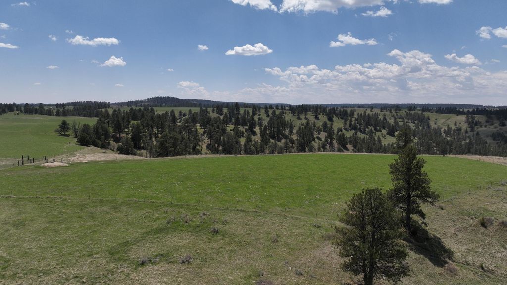 100 Mule Creek Road, Hulett, WY 82720 photo 21