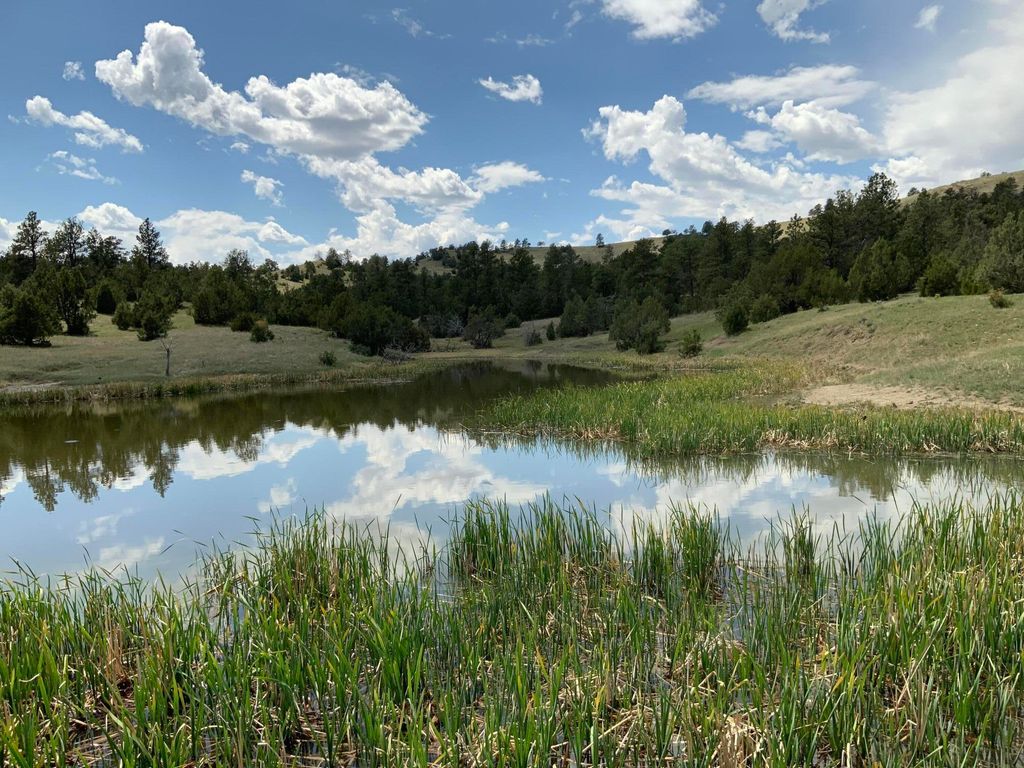 100 Mule Creek Road, Hulett, WY 82720 photo 22