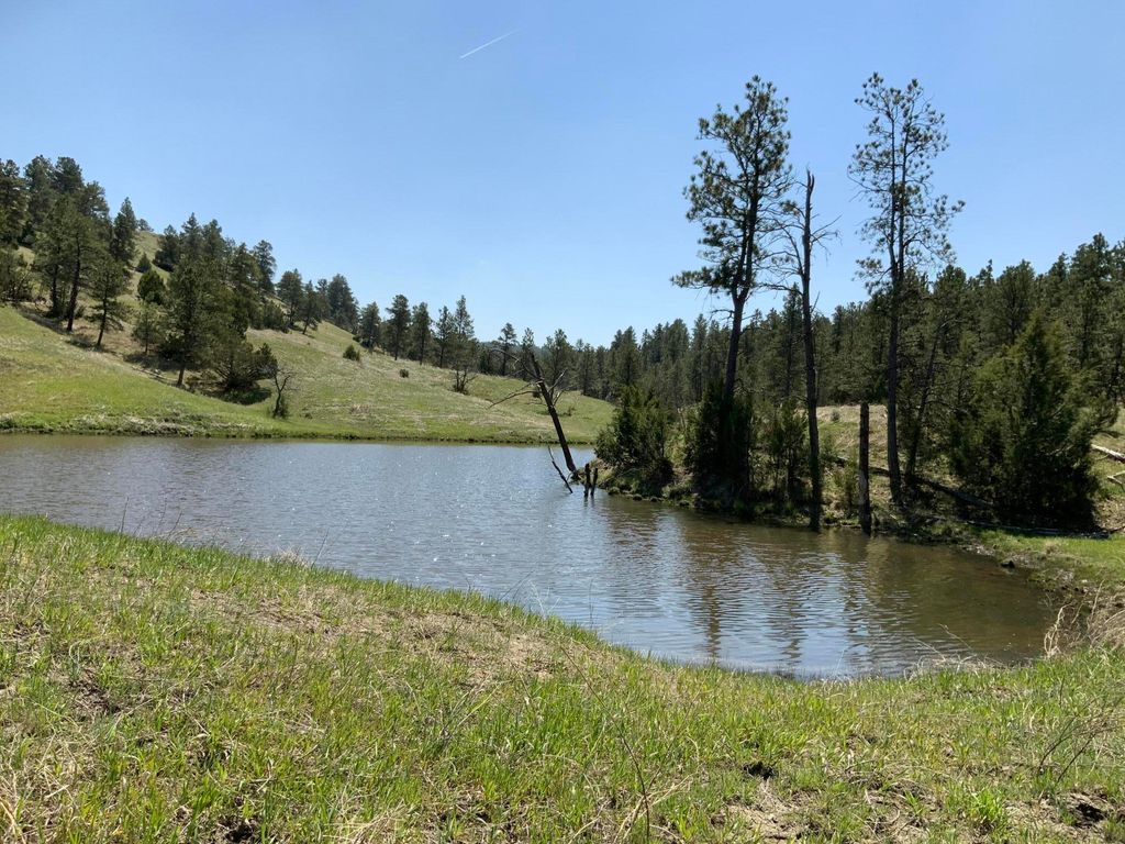 100 Mule Creek Road, Hulett, WY 82720 photo 23