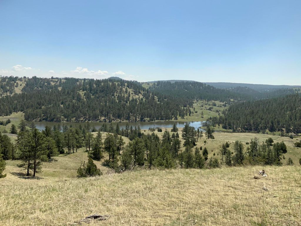 100 Mule Creek Road, Hulett, WY 82720 photo 24