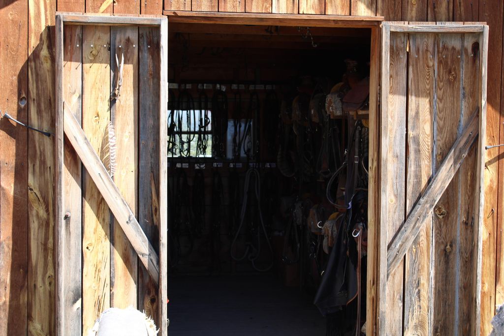 100 Mule Creek Road, Hulett, WY 82720 photo 28