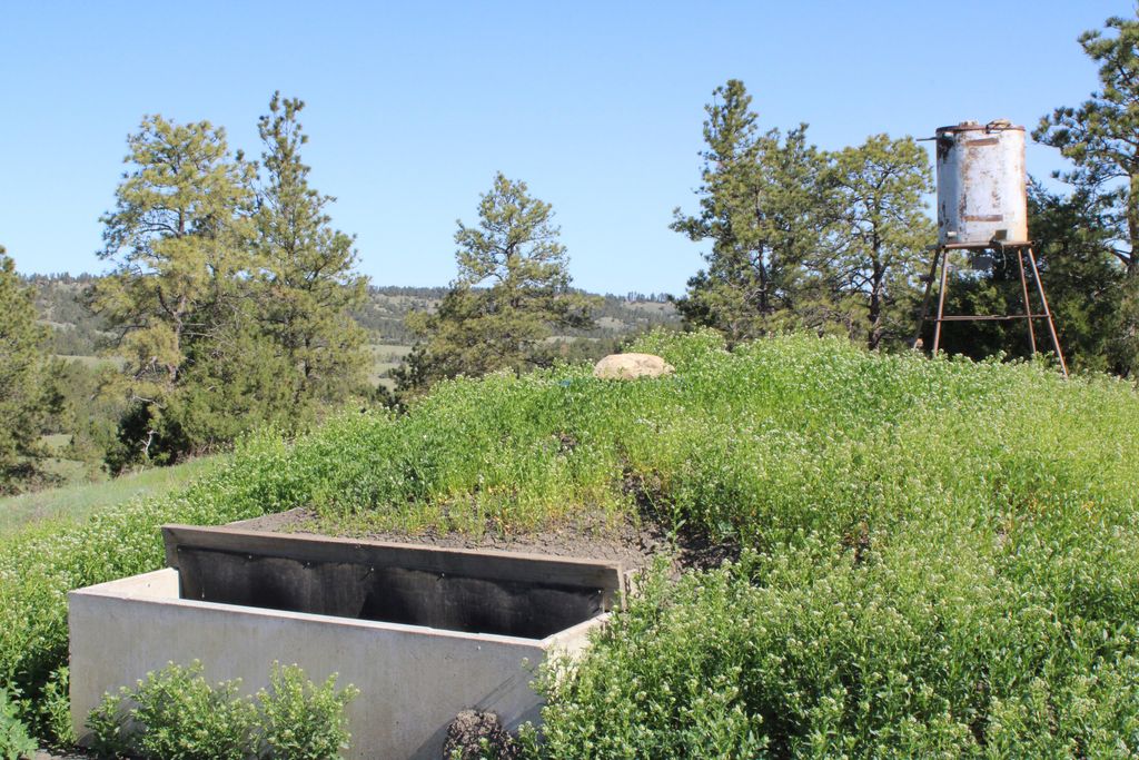 100 Mule Creek Road, Hulett, WY 82720 photo 54