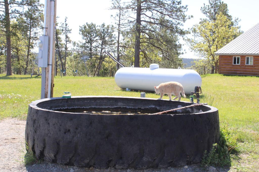 100 Mule Creek Road, Hulett, WY 82720 photo 55