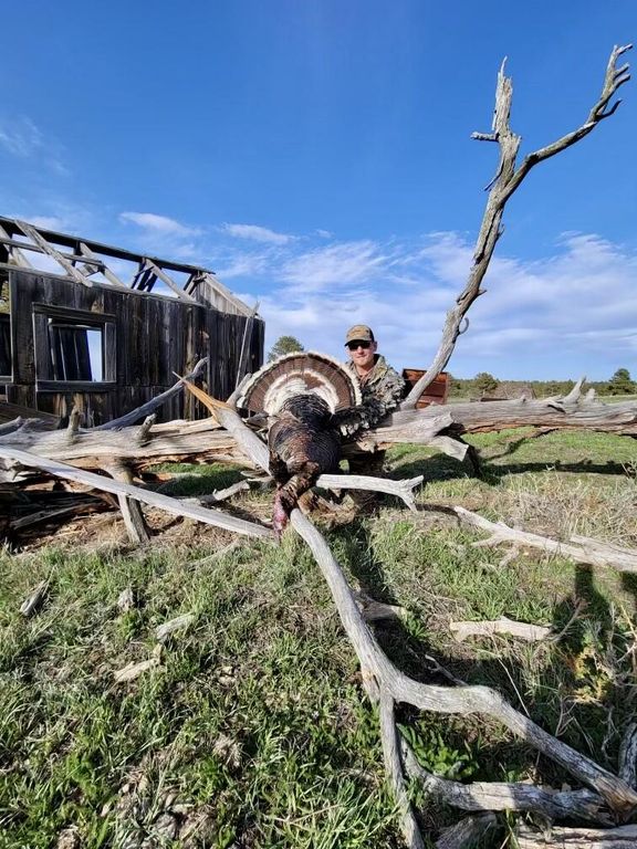 100 Mule Creek Road, Hulett, WY 82720 photo 59