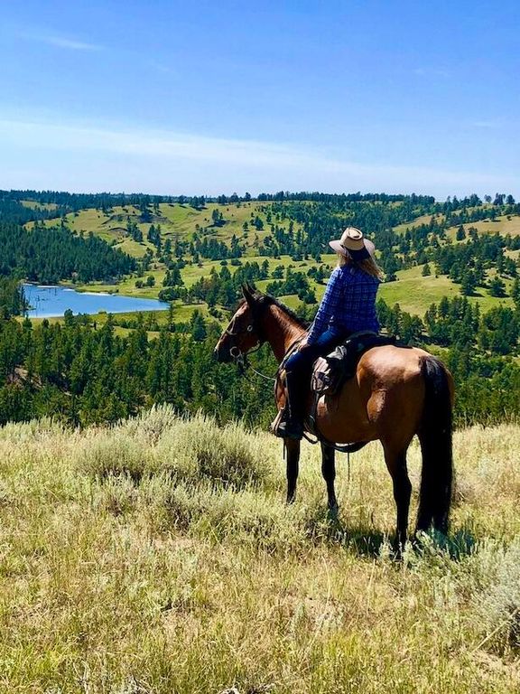 100 Mule Creek Road, Hulett, WY 82720 photo 8