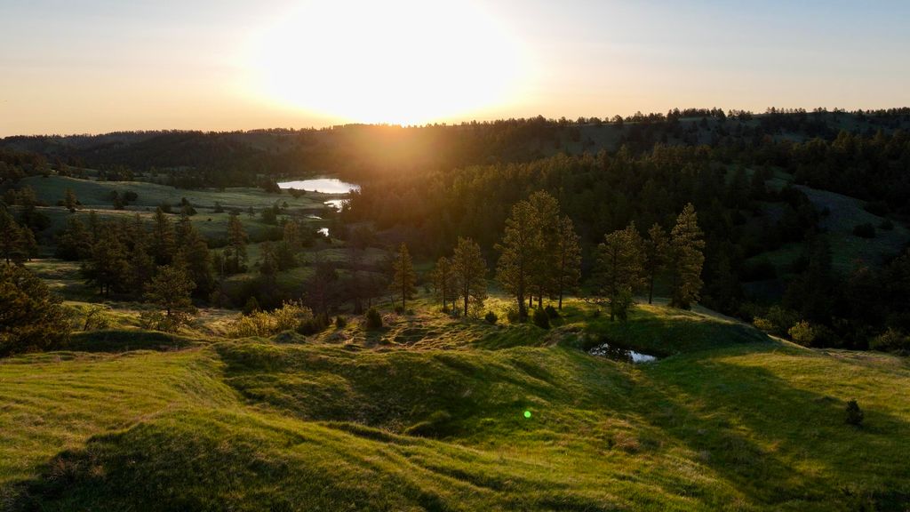 100 Mule Creek Road, Hulett, WY 82720 photo 9