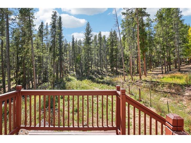 291 Creekwood Trl, Black Hawk, CO 80422