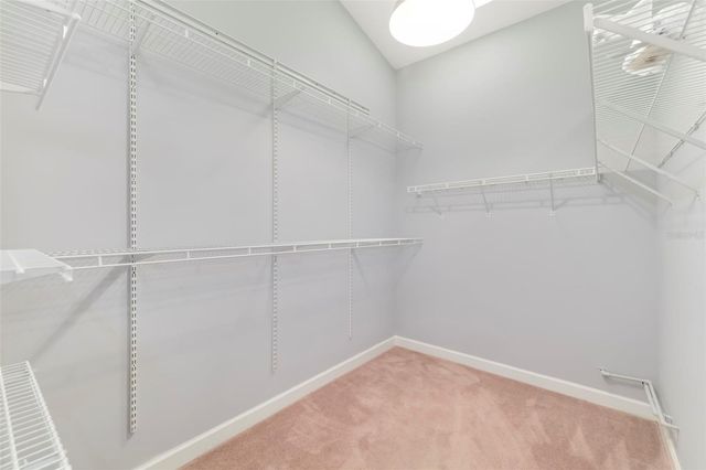 296 PINE RANCH TRAIL, Osprey, FL 34229