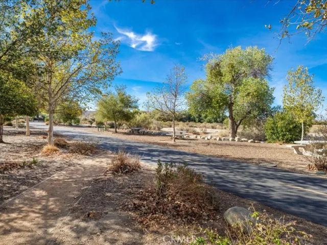 20039 Shadow Island, Canyon Country, CA 91351