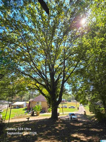 1529 FOSTER AVENUE, Birmingham, AL 35214