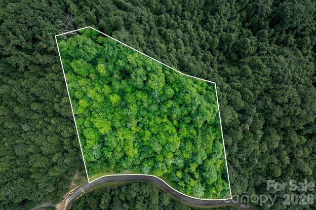 565 Pine Cone Trail, Marshall, NC 28753