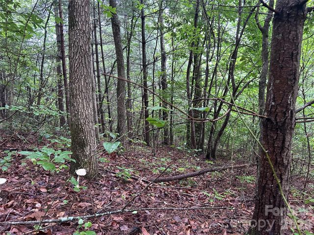565 Pine Cone Trail, Marshall, NC 28753