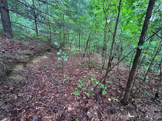 565 Pine Cone Trail, Marshall, NC 28753