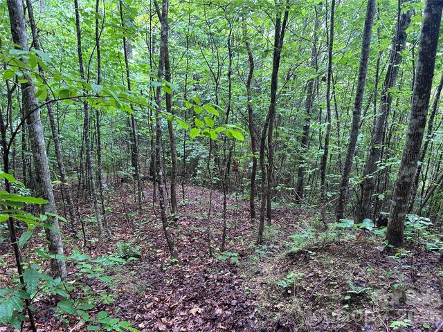 565 Pine Cone Trail, Marshall, NC 28753
