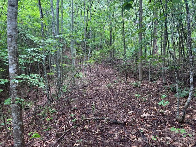565 Pine Cone Trail, Marshall, NC 28753