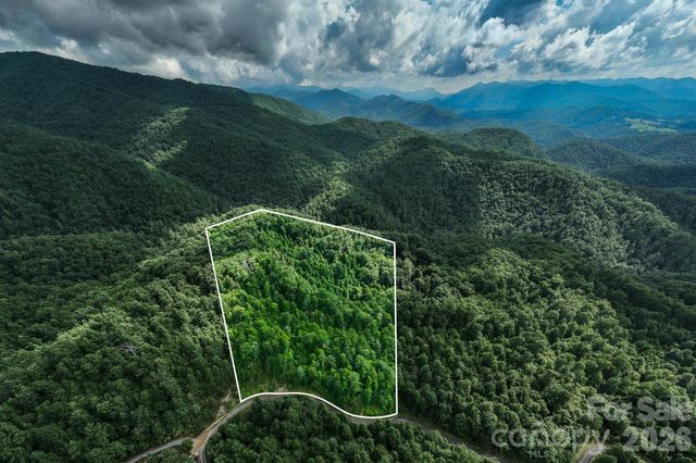565 Pine Cone Trail, Marshall, NC 28753