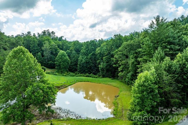 565 Pine Cone Trail, Marshall, NC 28753