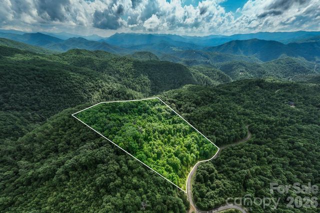 565 Pine Cone Trail, Marshall, NC 28753