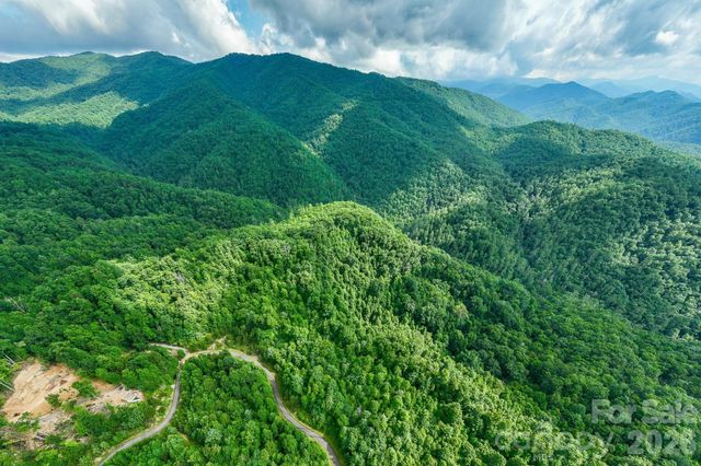 565 Pine Cone Trail, Marshall, NC 28753