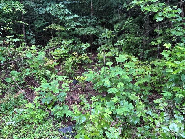 565 Pine Cone Trail, Marshall, NC 28753