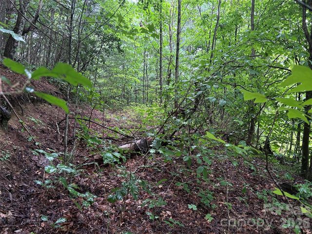 565 Pine Cone Trail, Marshall, NC 28753