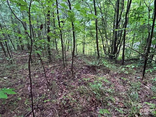 565 Pine Cone Trail, Marshall, NC 28753