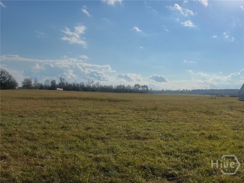 Image 1 of property listing at 0 Old Savannah Road W, Millen, GA 30442