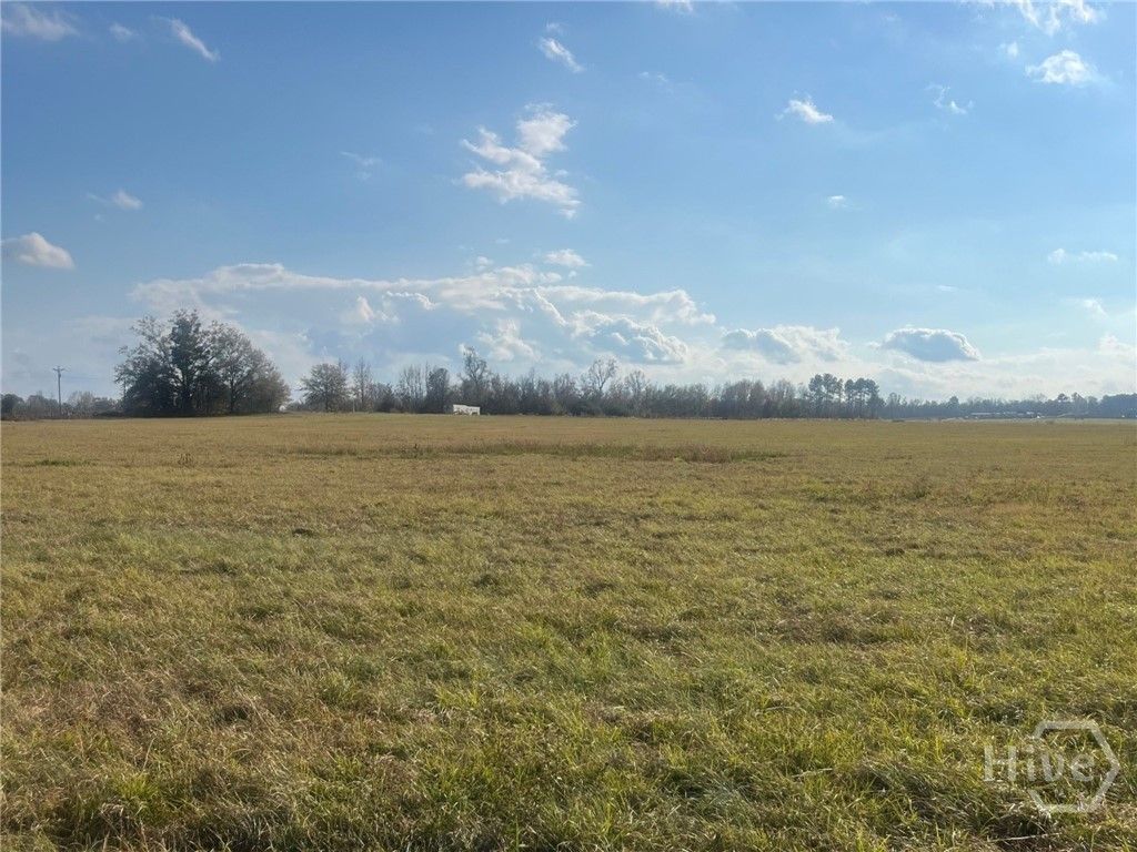 Image 2 of property listing at 0 Old Savannah Road W, Millen, GA 30442