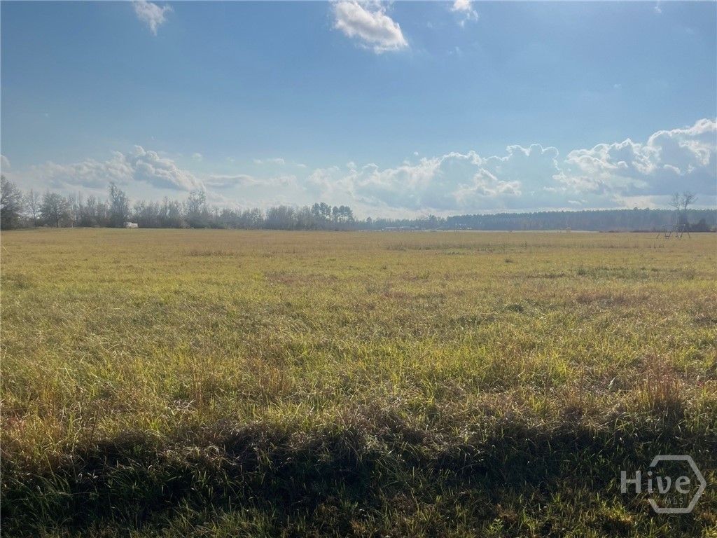 Image 3 of property listing at 0 Old Savannah Road W, Millen, GA 30442