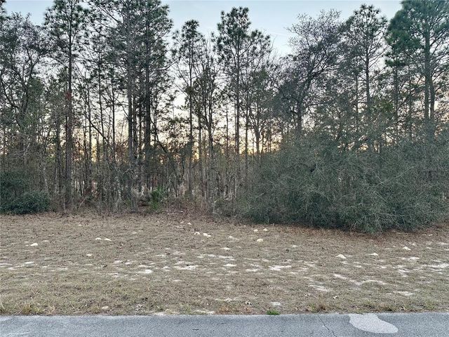 0 SW 129TH PL, Ocala, FL 34473
