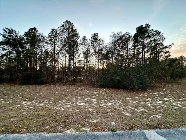 0 SW 129TH PL, Ocala, FL 34473