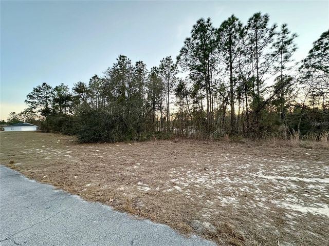 0 SW 129TH PL, Ocala, FL 34473