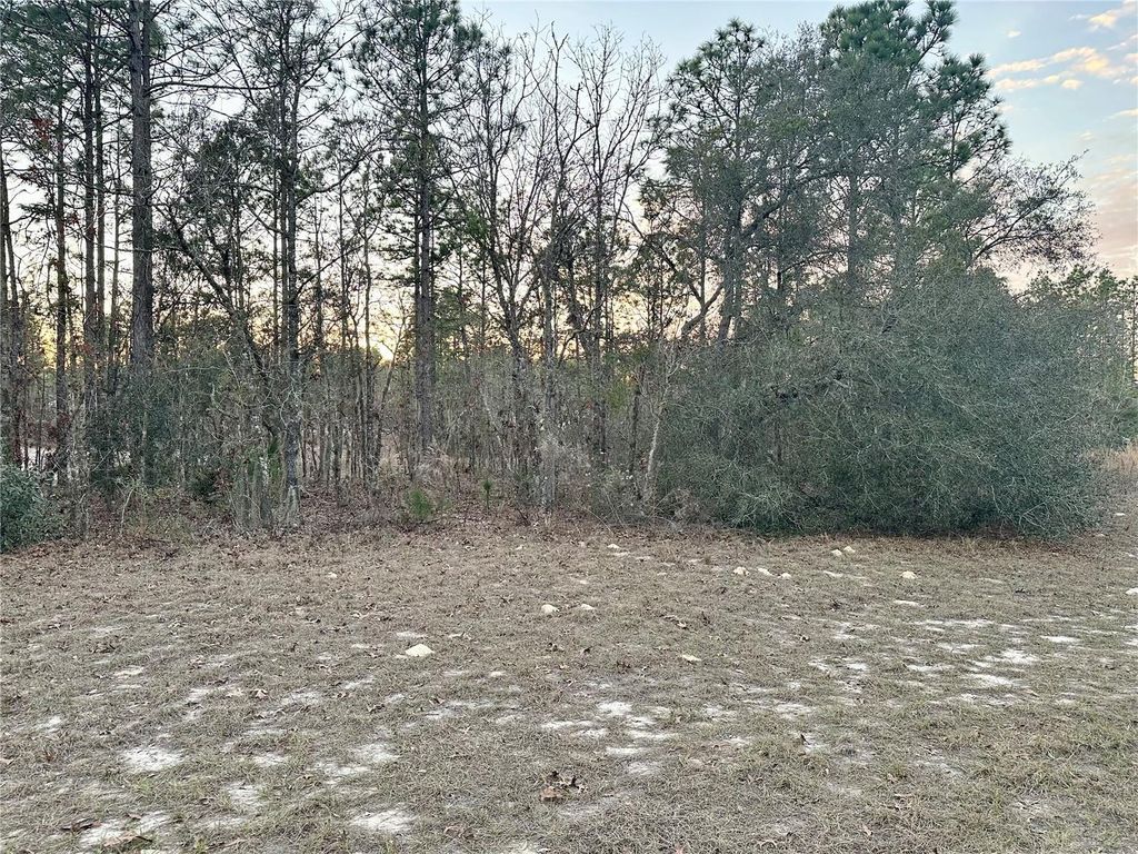 0 SW 129TH PL, Ocala, FL 34473