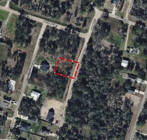 24936 Armagh Street, Hempstead, TX 77445