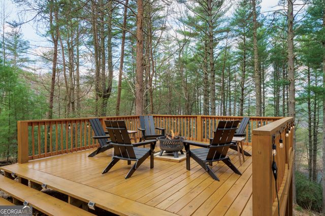 188 The Forest Road, Blue Ridge, GA 30513