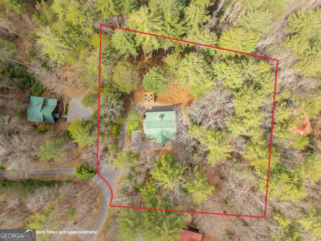 188 The Forest Road, Blue Ridge, GA 30513